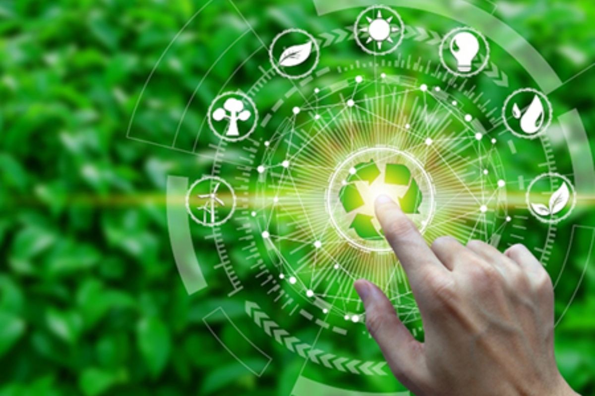 İzmir Çed Firmaları