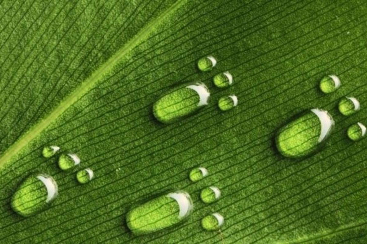 Su Ayak İzi Raporlama